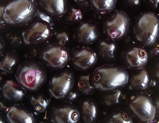 Java Plums (Jamun)