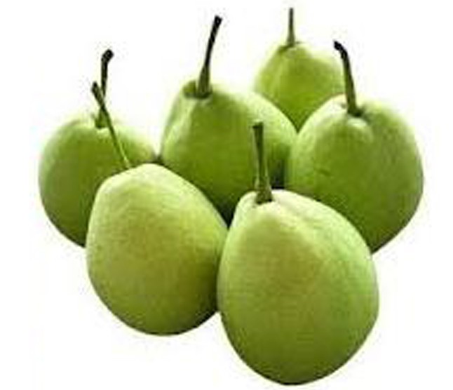 Indian Pears (Babugosha)