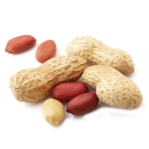 Fresh Groundnut [Pack of 500gm]