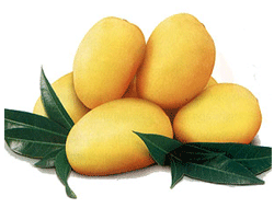 Himayat Mango